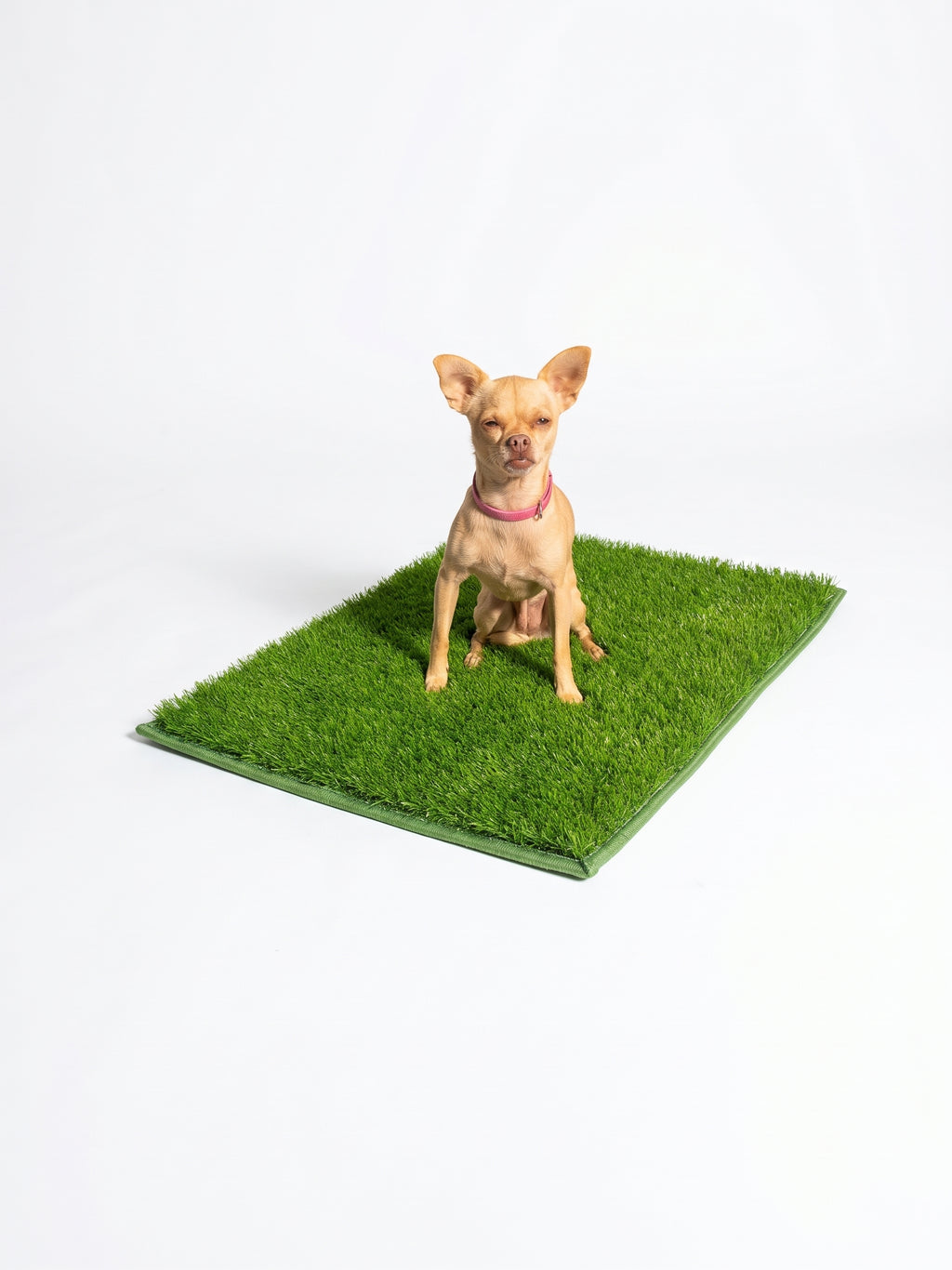 TidiTurf — The machine-washable dog turf.