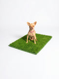 TidiTurf — The machine-washable dog turf.