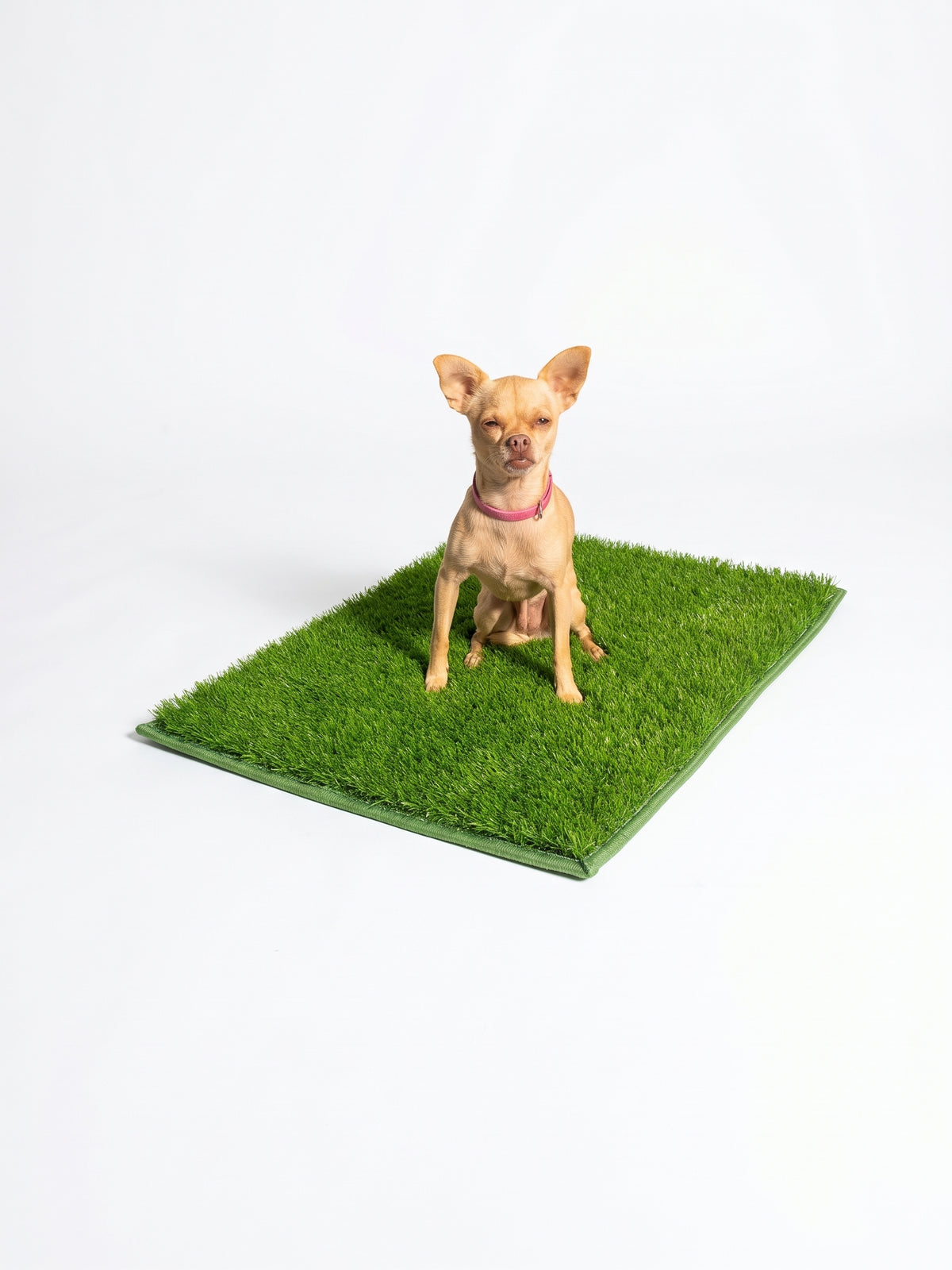 TidiTurf — The machine-washable dog turf.